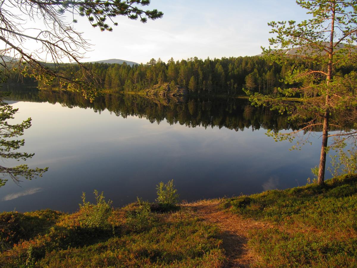 Malangen Lodge Mestervik Extérieur photo