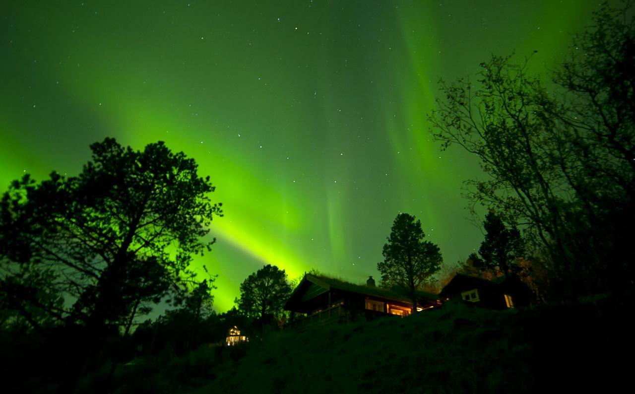 Malangen Lodge Mestervik Extérieur photo