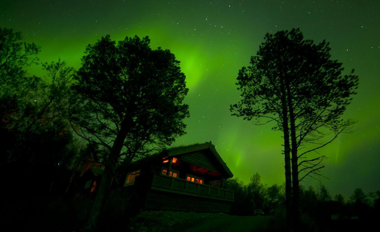 Malangen Lodge Mestervik Extérieur photo