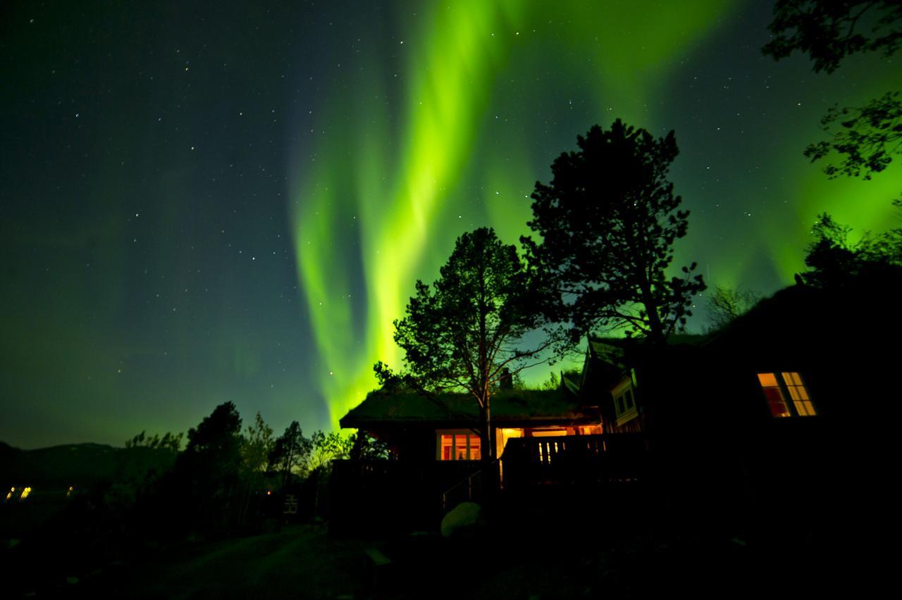 Malangen Lodge Mestervik Extérieur photo