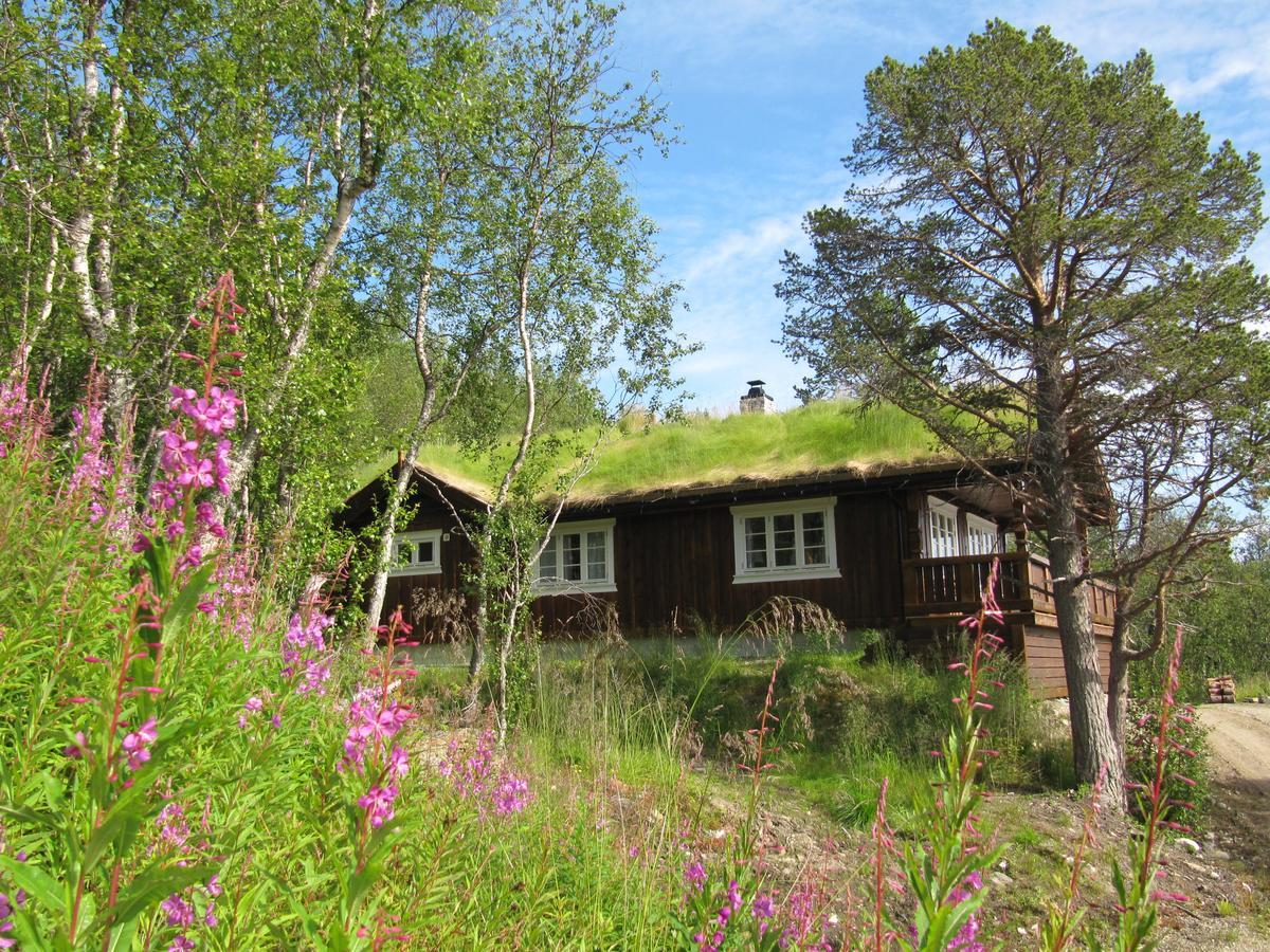 Malangen Lodge Mestervik Extérieur photo